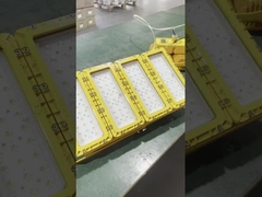 WF2 IP66 Luce LED a prova di esplosione con ombra di vetro convessa impermeabile