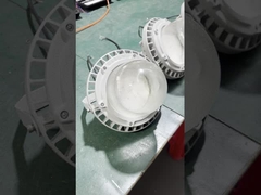 Industrial Higbay Light Workshops Gas Station Factory 50w 100w 150w Led a prova di esplosione a prova di luce