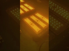 Ip66 Luce ad alto palo 70w 140w 210w 280w 350w 420w 560w 700w Led Stadium Flood Light