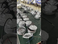 TS150W/200W Lampade industriali per il giardino