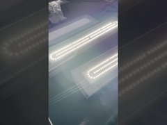 IP66 ATEX Luce lineare a prova di esplosione per industria 50w 100w 200w