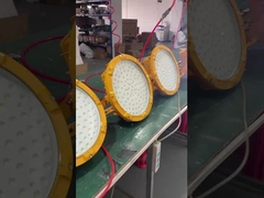 Luce a prova di esplosione Ip65 Gas Station Lighting 50w 100w 150w Lampada a prova di esplosione a LED