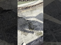 AC85-310V/AC100-277V 130-140LM/W Luce di strada a LED esterna per giardino stradale, piazza