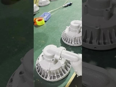 Luce a prova di esplosione IP66 50W 200W Illuminazione per aree pericolose