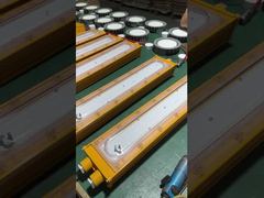 Scopri perché scegliere le luci industriali lineari antideflagranti IP66 50w 100w 200w ATEX