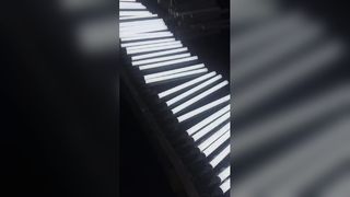 Lampada lineare antideflagrante da 200 W con LED SMD2835 e standard Exd IIC T6-IP65-WF2 per zone pericolose