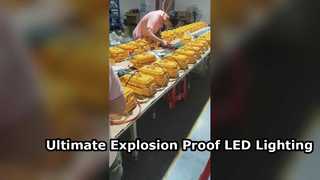 Proiettore LED impermeabile IP65 approvato ATEX con vetro temperato per aree pericolose