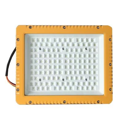 OEM Illuminazione a prova di esplosione pericolosa