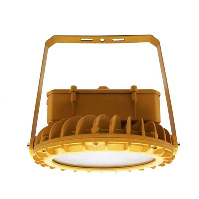 Illuminazione a soffitto da 30W IP66 antideflagrante per aree pericolose