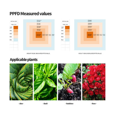 400W Potenza di uscita Full Spectrum LED Grow Light con altezza di appesa regolabile per la crescita delle piante indoor