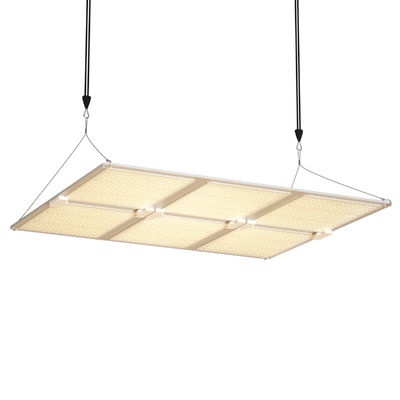 Lampada di coltivazione a LED a spettro completo da 600W con funzione dimmerabile per una crescita ottimale delle piante