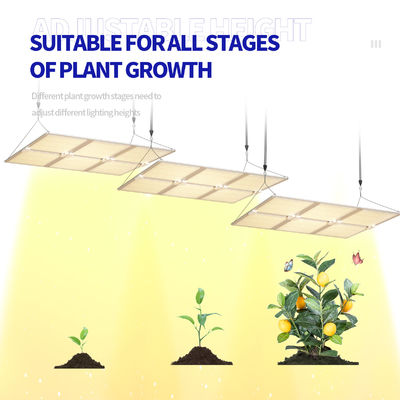 Lampada di coltivazione a LED a spettro completo da 600W con funzione dimmerabile per una crescita ottimale delle piante