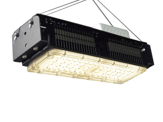 50W Full Spectrum LED Grow Light per piante interne con tensione AC85-265V