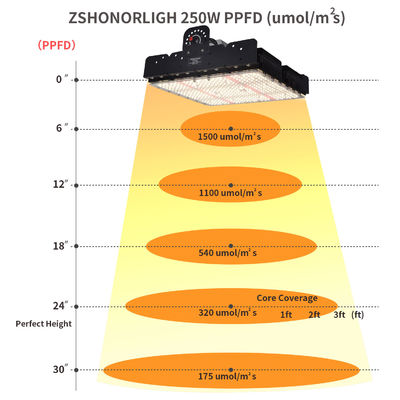 Lampada a LED T5 a spettro completo da 250W per la coltivazione con gestione termica passiva per piante da interno