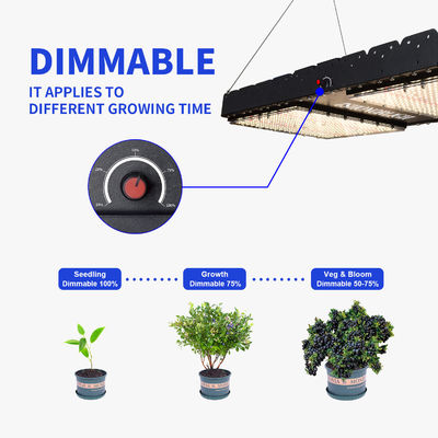 500W Full Spectrum LED Grow Light con base E27 per piante interne e uso commerciale