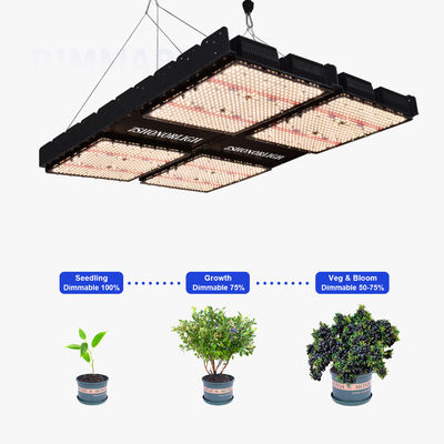 1000W Full Spectrum Dimmable LED Grow Light per piante interne con controllo del timer