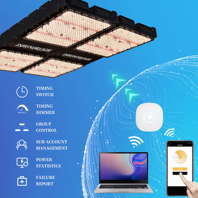 1000W Full Spectrum Dimmable LED Grow Light per piante interne con controllo del timer