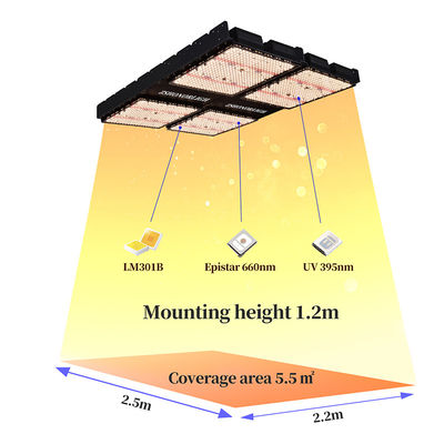 1000W Full Spectrum Dimmable LED Grow Light per piante interne con controllo del timer