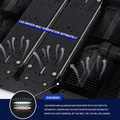 1000W Full Spectrum Dimmable LED Grow Light per piante interne con controllo del timer