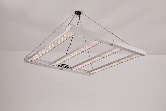 Lampada di coltivazione a LED a spettro completo pieghevole da 600W per la coltivazione commerciale di piante