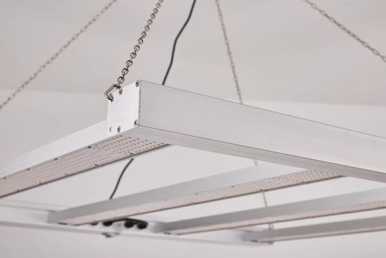 800W Full Spectrum LED Grow Light con IP65 impermeabile per la crescita delle piante commerciali