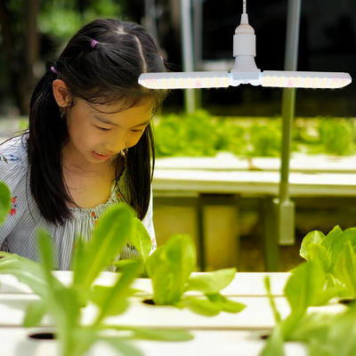 Lampada di coltivazione a LED compatta con spettro completo + 660nm e impermeabilità IP68 per la crescita delle piante in interni