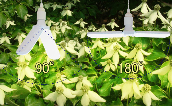 Lampada di coltivazione a LED compatta con spettro completo + 660nm e impermeabilità IP68 per la crescita delle piante in interni