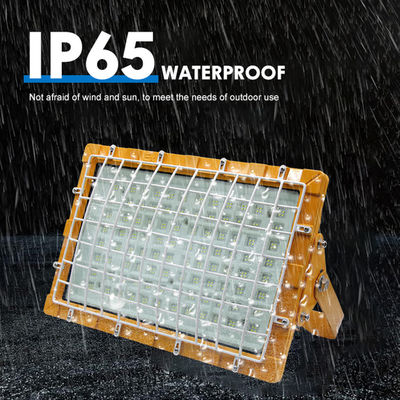 SMD2835/3030 100-110lm/W IP66 Illuminazione LED a prova di esplosione per fabbriche e aree pericolose