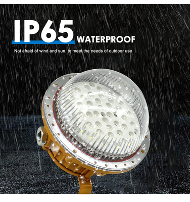 Luce a prova di esplosione Ip65 Gas Station Lighting 50w 100w 150w Lampada a prova di esplosione a LED