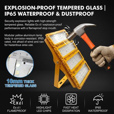 6KV Surge AC100-277V 300W LED Explosion Proof Flood Light LUMILEDS LM-80 ATEX IIb T6 IP65 Hazardous Area Lighting