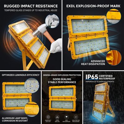 Faretto LED antideflagrante IP65 da 600W -40C/60C LUMILEDS LM-80 ATEX IIb T6 WF2 Apparecchio per aree pericolose