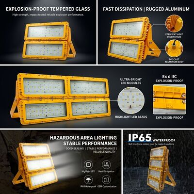 Faretto LED antideflagrante IP65 da 600W -40C/60C LUMILEDS LM-80 ATEX IIb T6 WF2 Apparecchio per aree pericolose