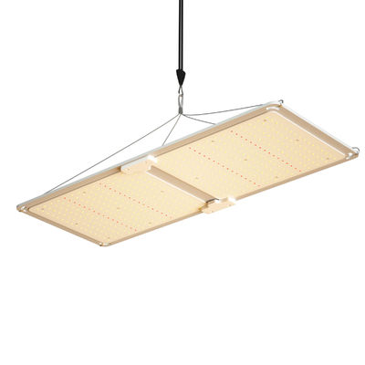 qualità  200w LED T5 Grow Lights Greenhouse Lighting System fabbrica