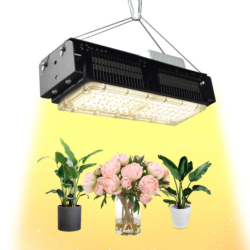 50W Full Spectrum LED Grow Light per piante interne con tensione AC85-265V