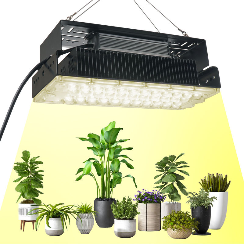 Lampada di coltivazione a LED a spettro completo da 100W con LED SMD3030 per piante e giardini da interno