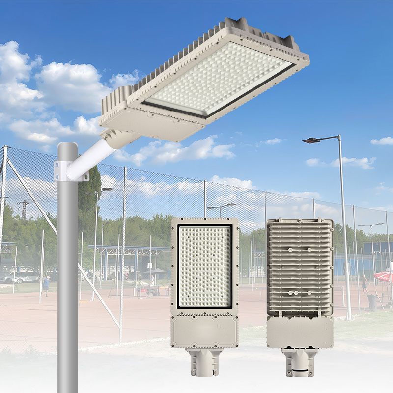 Luce stradale impermeabile antideflagrante per autostrade, lampada stradale a risparmio energetico