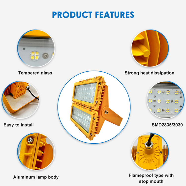 600W LED a prova d'esplosione luce d'inondazione 60° Offshore FPSO piattaforma ATEX IIB T6 IP65 RFEPL8280 Illuminazione