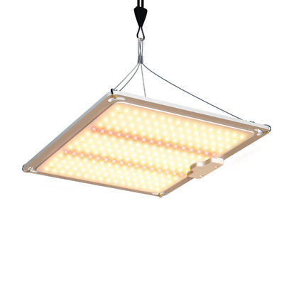 Lampada LED a spettro completo da 100W con luce rossa a 660nm per piante da fioritura e fruttificazione