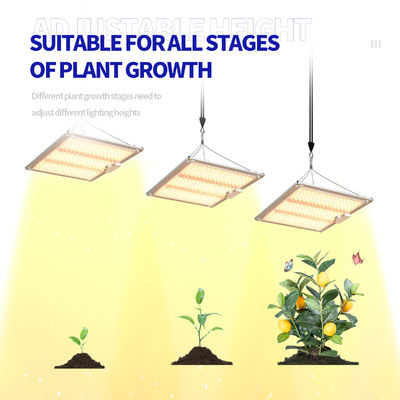 600w HPS 4x4 Grow Light Lampada per piante Promuovere la fioritura e la fruttatura