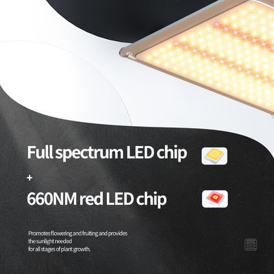 Sistema di illuminazione per serre a LED T5 da 200w