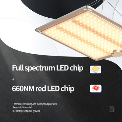 LED Panel 3x3 Grow Light Lampada per piante 600w