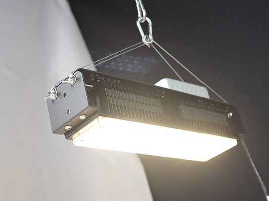 AC85V-265V Lampade a LED per la coltivazione di piante per interni 50W