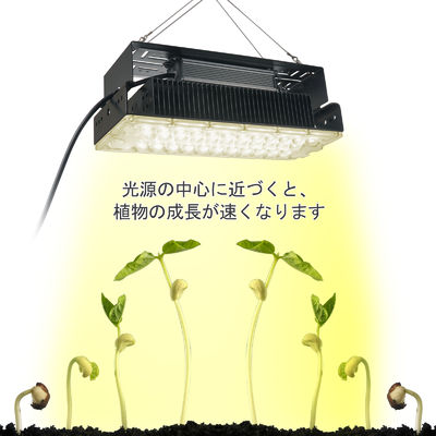 100w Indoor 5x5 Grow Light per piante da giardino in interni SMD3030