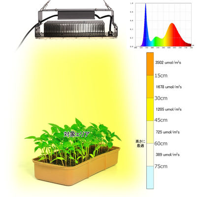 100w Indoor 5x5 Grow Light per piante da giardino in interni SMD3030