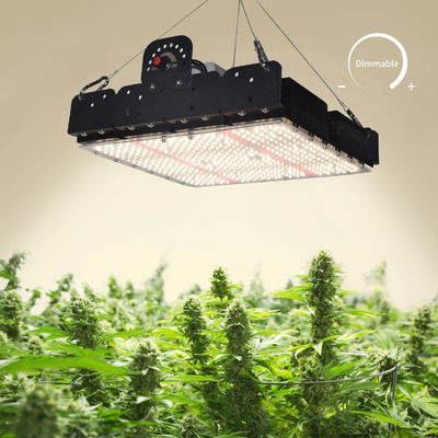 T5 a LED a spettro completo per piante d'interno 250w
