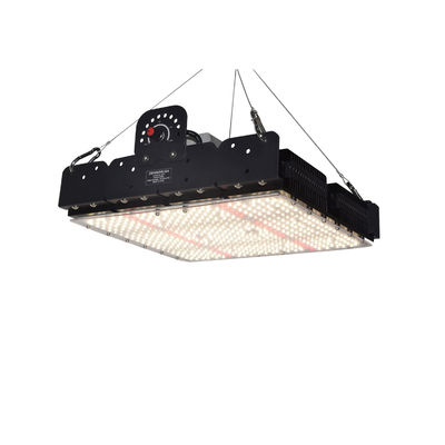 T5 a LED a spettro completo per piante d'interno 250w