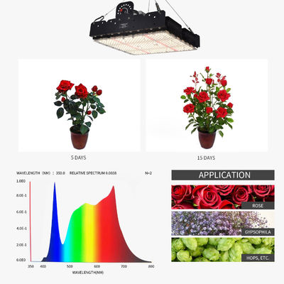 T5 a LED a spettro completo per piante d'interno 250w