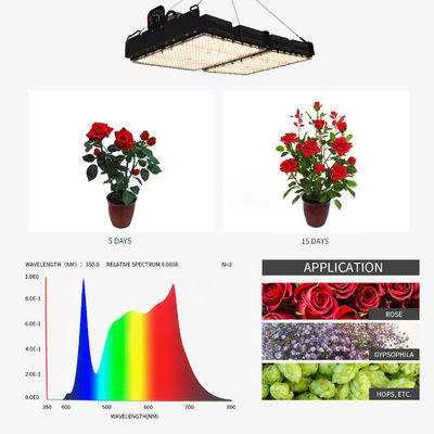 PPFD lettura Lampade di crescita a led per piante d'interno NR Spectrum
