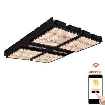 1000W Lampade per piante per interni 4x4 Crescere luce