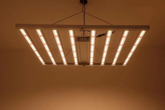 Lampade per la coltivazione in serra pieghevoli da 8T 800W 1000w Hps